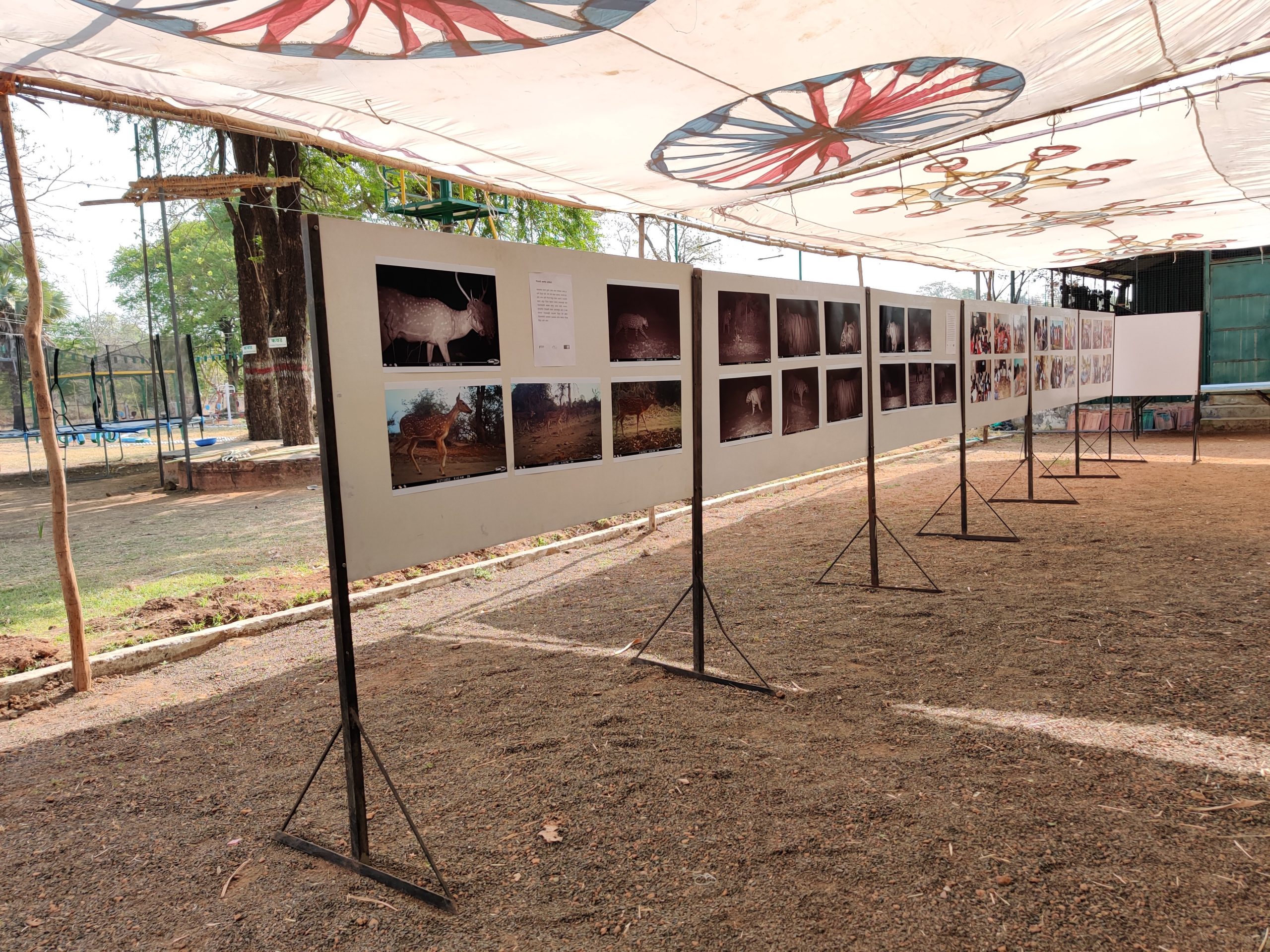 School children living around Tiger Reserves learn about conservation ...