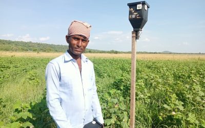 SLTP partner Satpuda Foundation is helping farmers adopt a new LED light deterrent system to prevent crop depredation by wildlife in Silari Village of Pench Tiger Reserve
